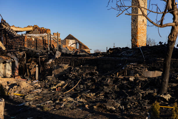 Reliable Firefighting Water Removal contractor in Fort Myers Beach, FL by Fire Damage Flint
